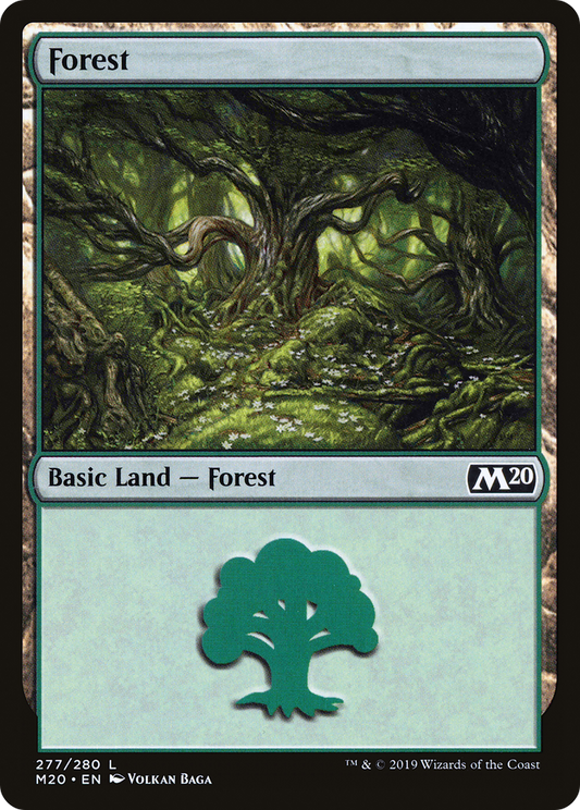 Forest (277)