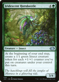 Iridescent Hornbeetle