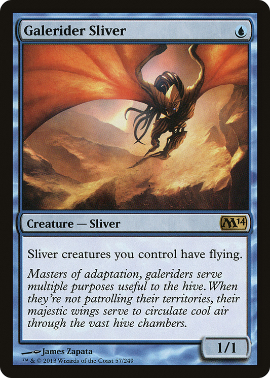 Galerider Sliver - Foil