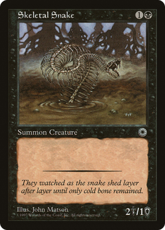 Skeletal Snake