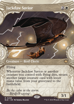 Jackdaw Savior (0296) (Showcase)