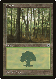 Forest (Left-Side Foreground Trees)