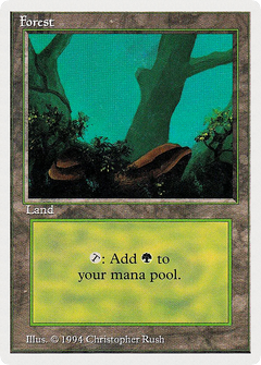 Forest (Rocks)