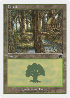 Forest (348)