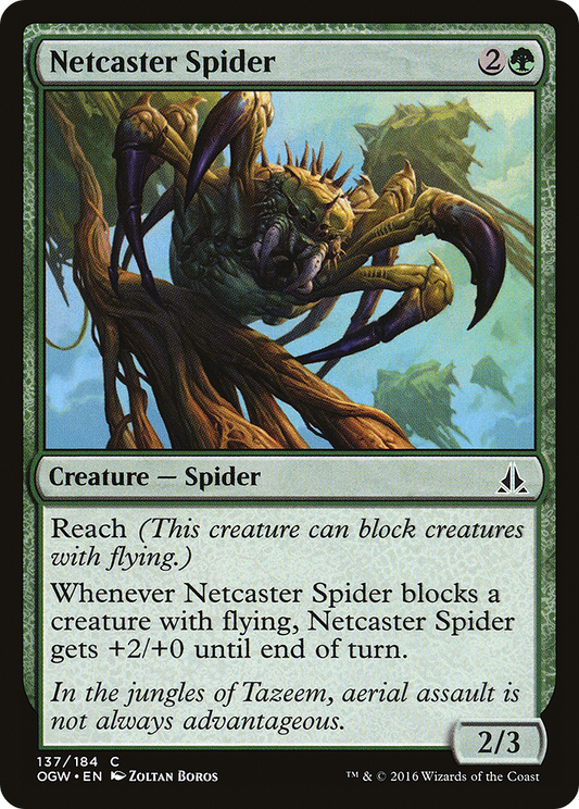 Netcaster Spider - Foil
