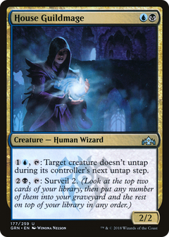 House Guildmage - Foil