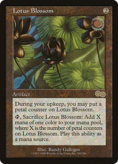 Lotus Blossom