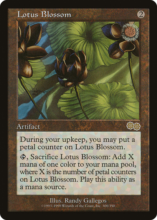 Lotus Blossom