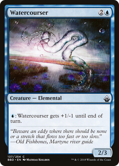 Watercourser - Foil