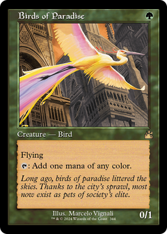 Birds of Paradise (0344) (Retro Frame)
