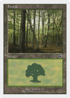 Forest (Left-Side Foreground Trees)