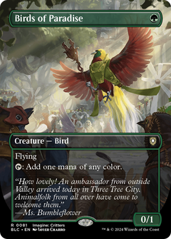 Birds of Paradise (0081) (Borderless) (Showcase) - Foil