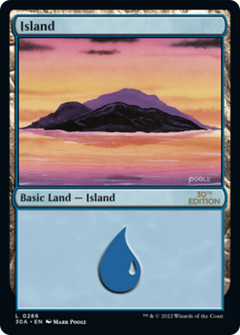Island (286) (Modern Frame)