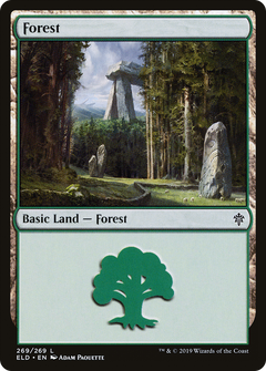 Forest (269)