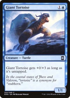 Giant Tortoise - Foil