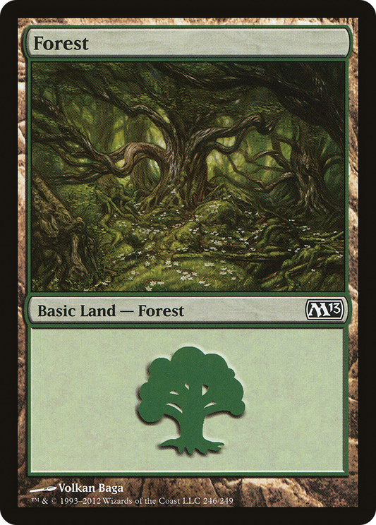 Forest (246)