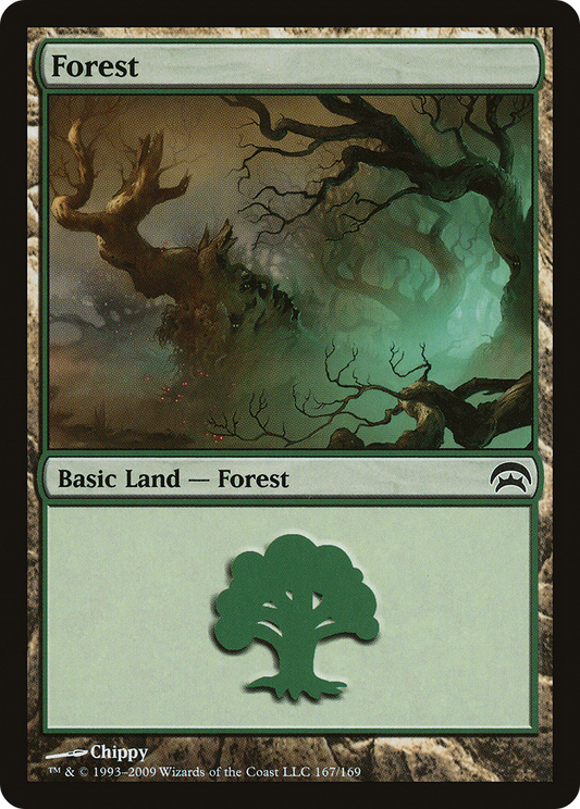 Forest (167)
