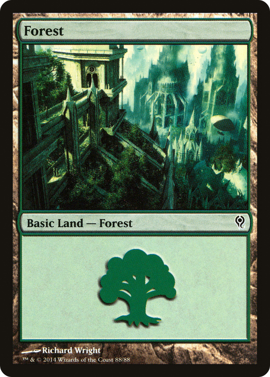 Forest (88)