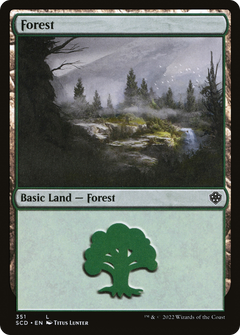 Forest (351)