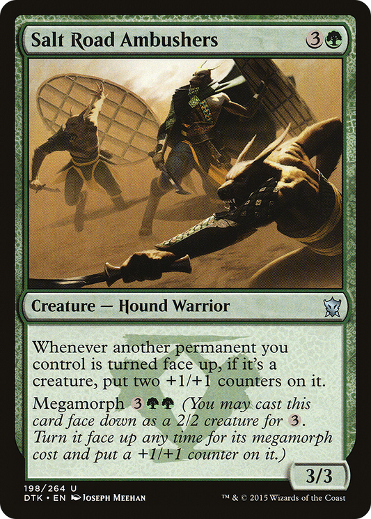 Salt Road Ambushers - Foil
