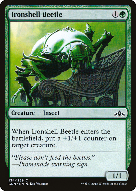 Ironshell Beetle - Foil