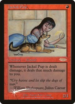 Jackal Pup (008) (FNM) - Foil