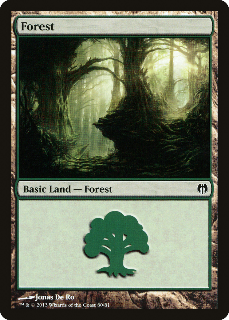 Forest (80)
