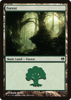 Forest (80)
