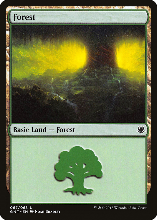 Forest (067)