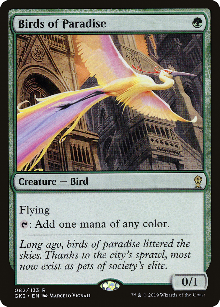 Birds of Paradise (GK)