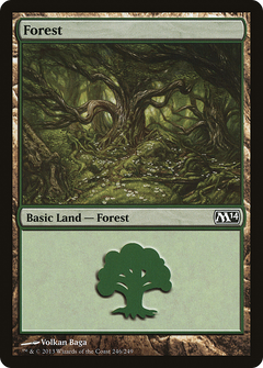 Forest (246)