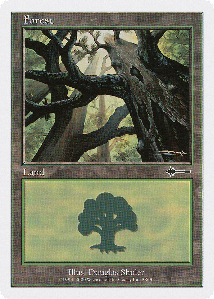 Forest (88)