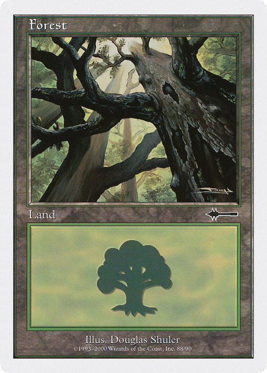 Forest (88)