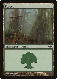 Forest (29)
