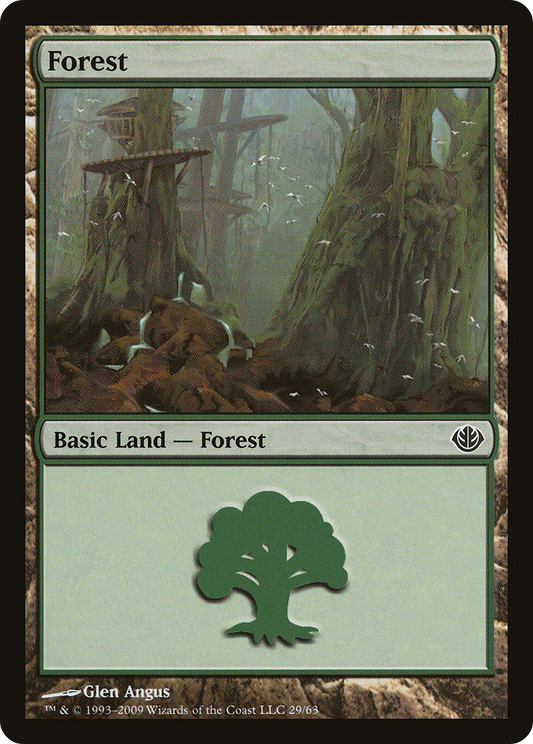 Forest (29)