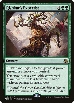 Rishkar's Expertise - Foil