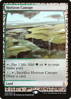 Horizon Canopy (040) - Foil