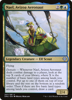 Nael, Avizoa Aeronaut - Foil