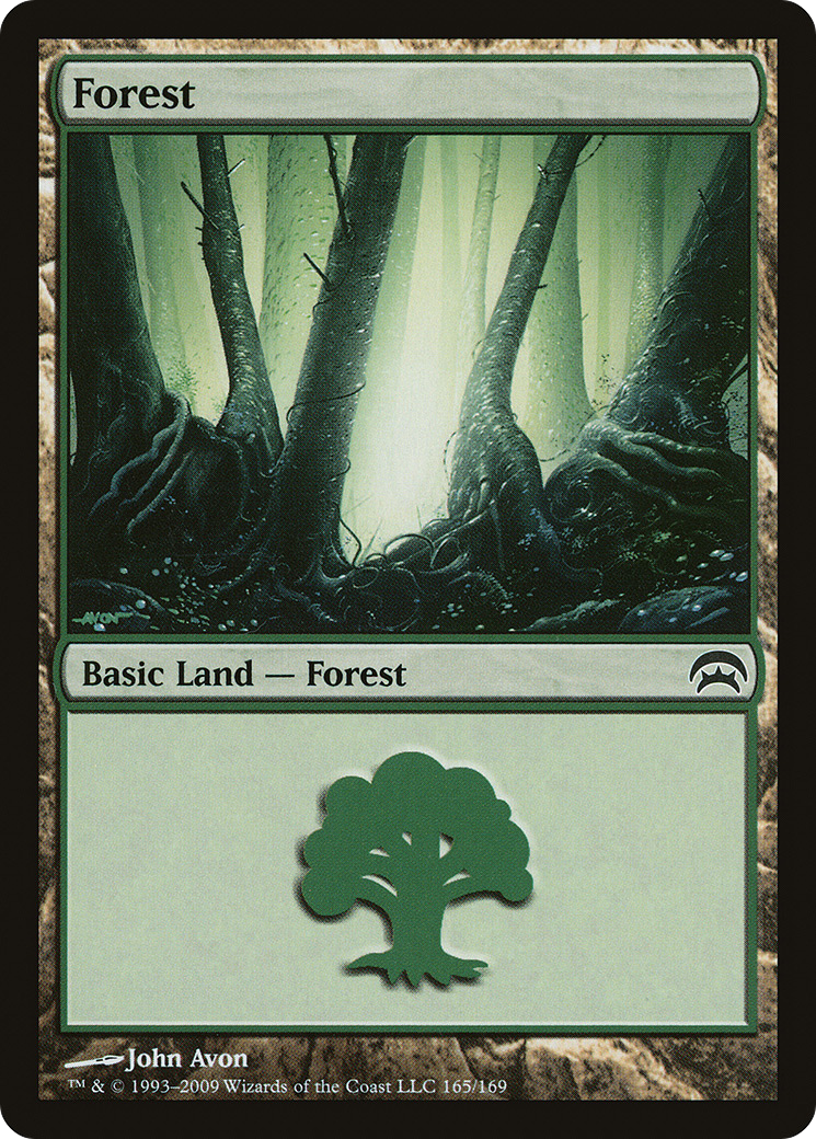 Forest (165)