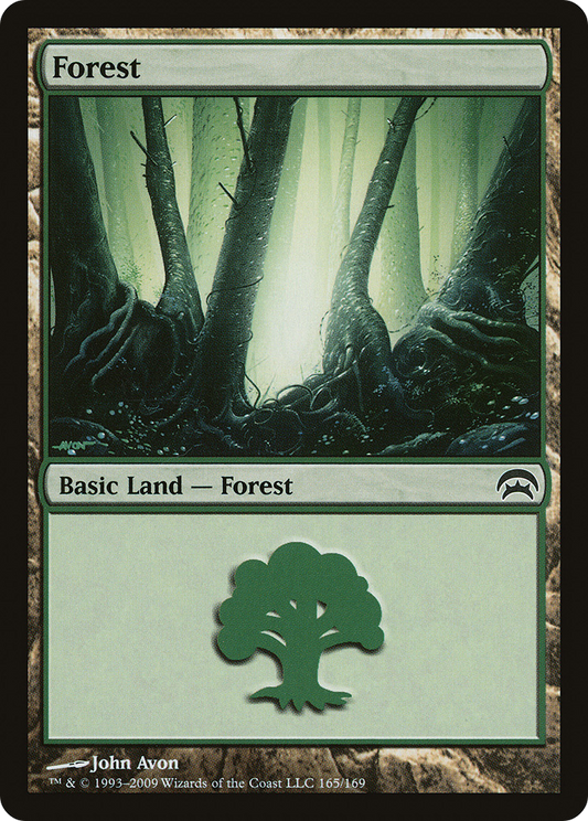 Forest (165)