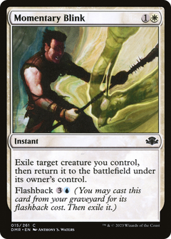 Momentary Blink - Foil
