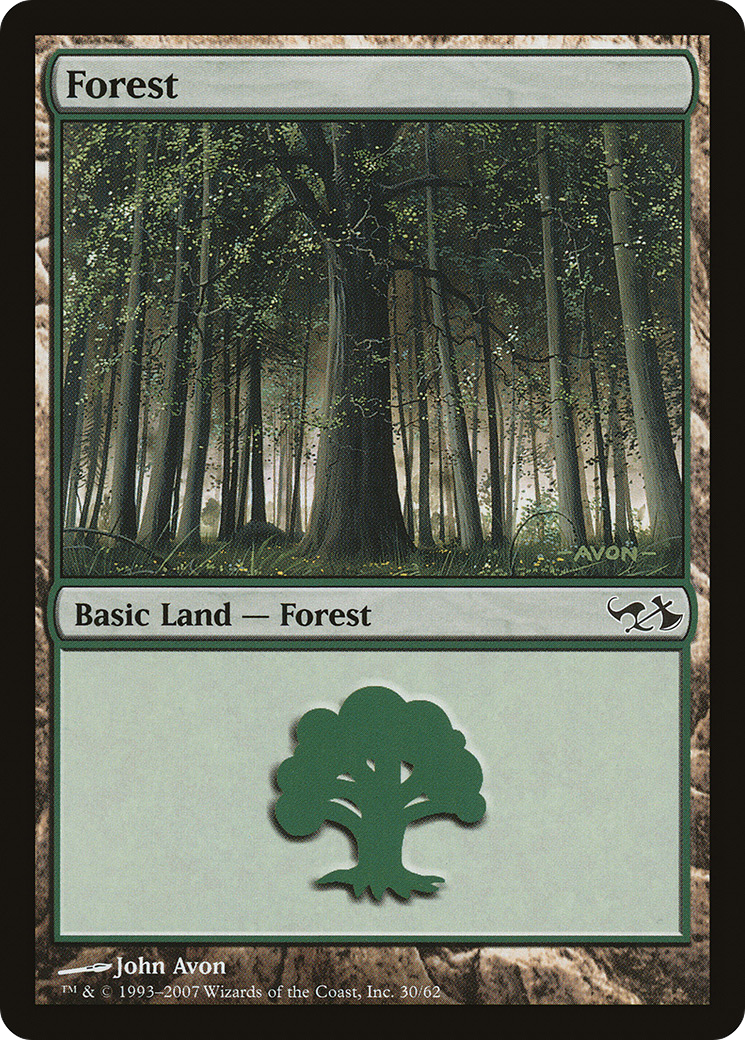 Forest (30)
