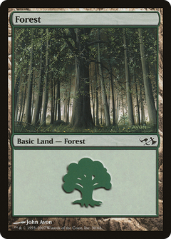Forest (30)