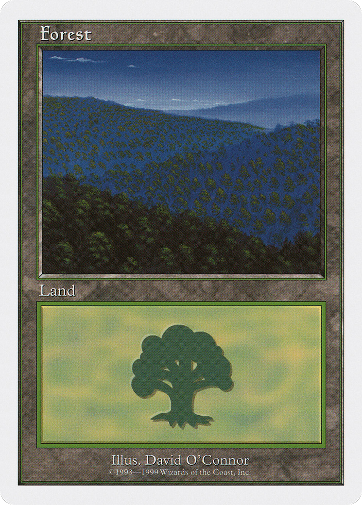 Forest (Nighttime)