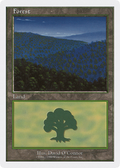 Forest (Nighttime)