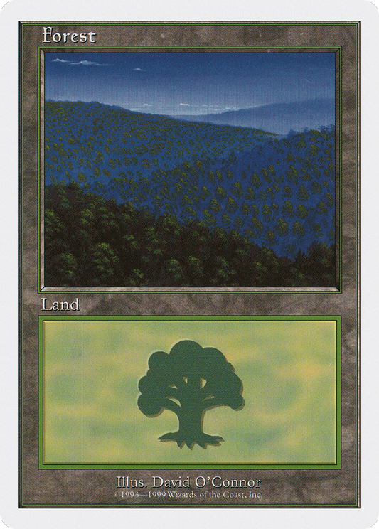 Forest (Nighttime)
