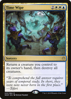 Time Wipe - Foil