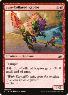 Sun-Collared Raptor - Foil