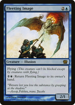 Fleeting Image - Foil