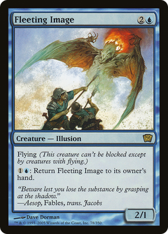 Fleeting Image - Foil